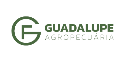Cliente GRW 8